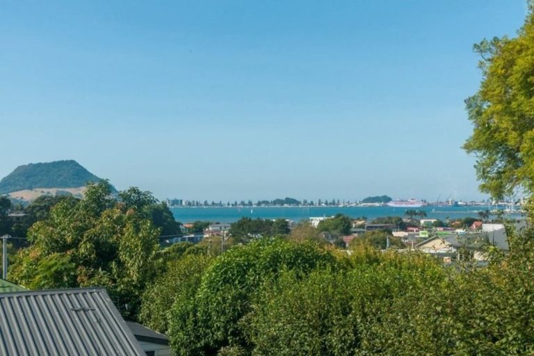 Photo of property in 12a Seaview Road, Otumoetai, Tauranga, 3110