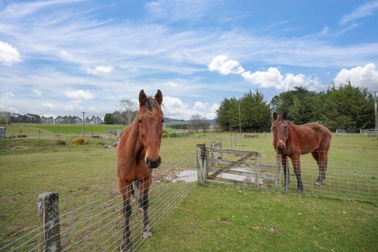 Photo of property in 136 Fenham Road, Merrivale, Otautau, 9682