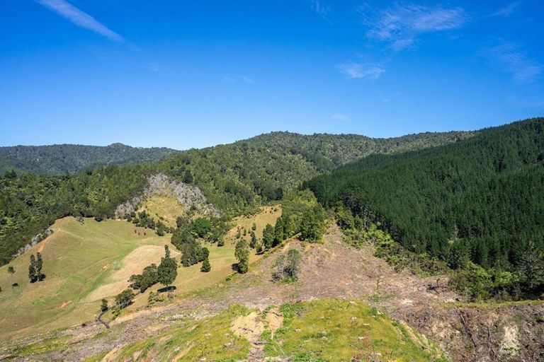 Photo of property in 208 Wentworth Valley Road, Whangamata, 3691