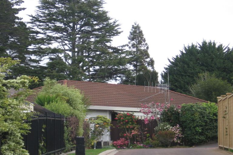 Photo of property in 47 Rewarewa Place, Matua, Tauranga, 3110