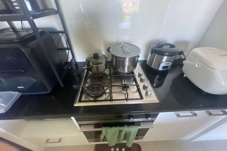 Photo of property in 21 Lemon Tree Lane, Flat Bush, Auckland, 2019