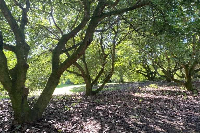 Photo of property in 356 Belk Road, Omanawa, Tauranga, 3171