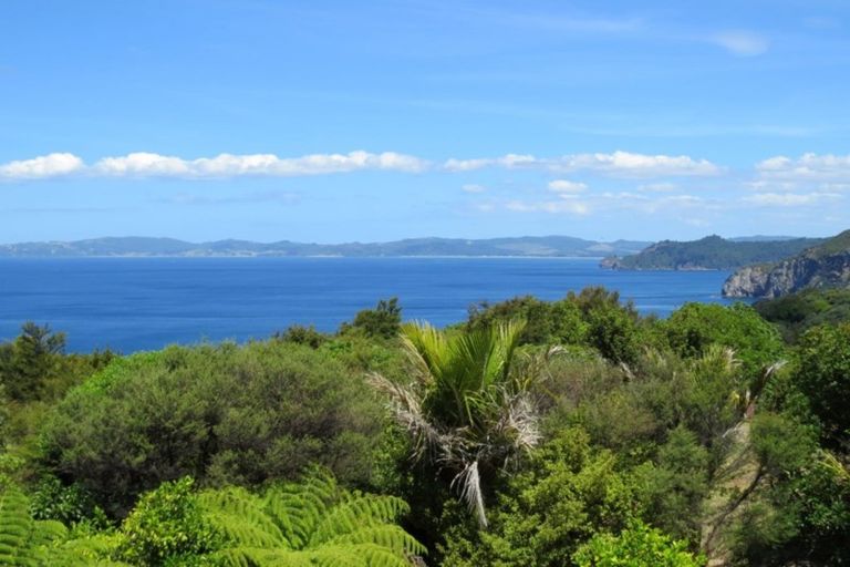 Photo of property in 473e Tuateawa Road, Tuateawa, Coromandel, 3583