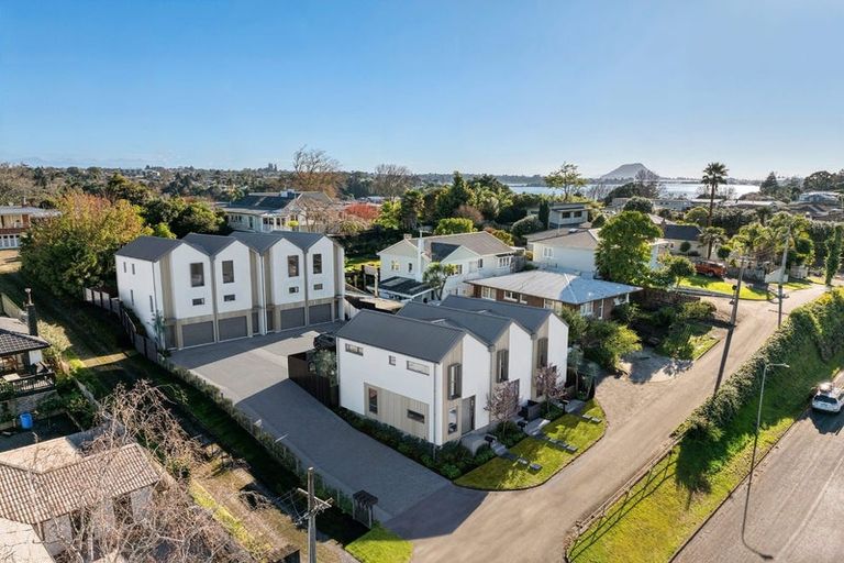 Photo of property in 199 Edgecumbe Road, Tauranga South, Tauranga, 3112