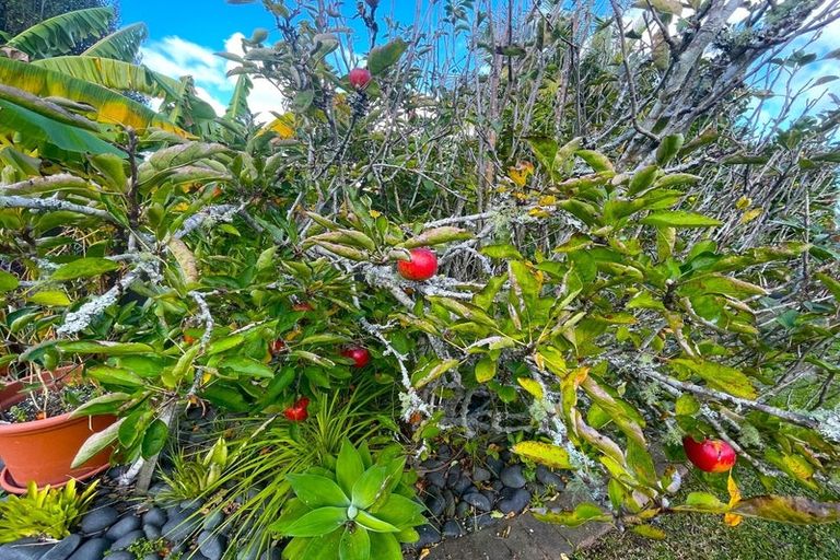 Photo of property in 8 Divich Avenue, Te Atatu South, Auckland, 0610