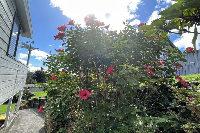 Photo of property in 48 Watling Street, Gate Pa, Tauranga, 3112