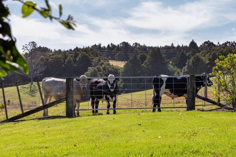 Photo of property in 136a Monarch-downs Way, Warkworth, 0982