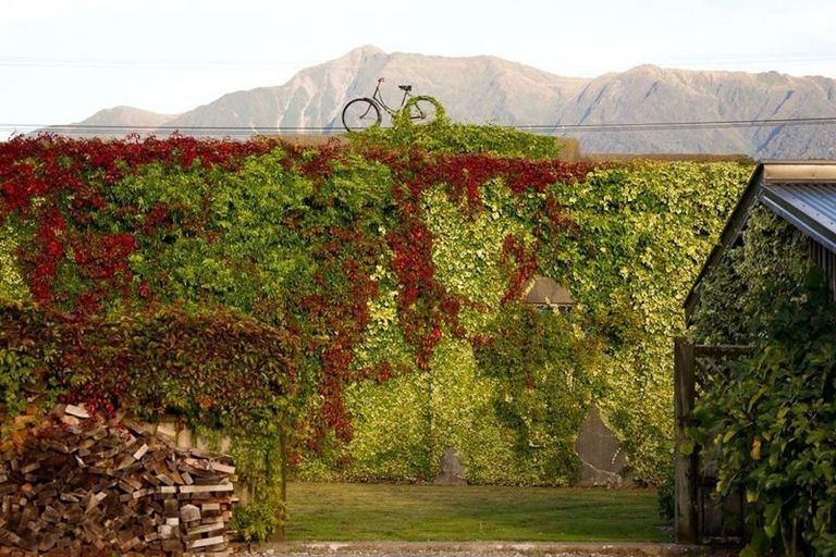 Photo of property in 327 Wanganui Flat Road, Harihari, 7884