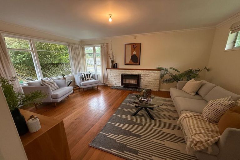 Photo of property in 45 Alfred Street, Roslyn, Palmerston North, 4414