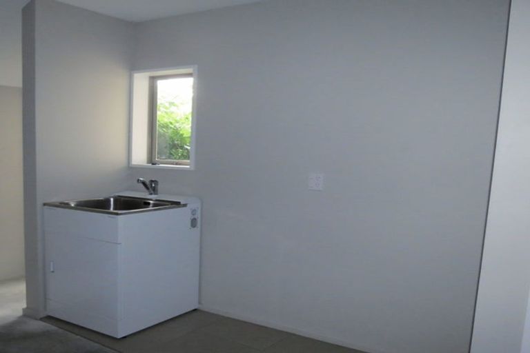 Photo of property in 48b North Avon Road, Richmond, Christchurch, 8013