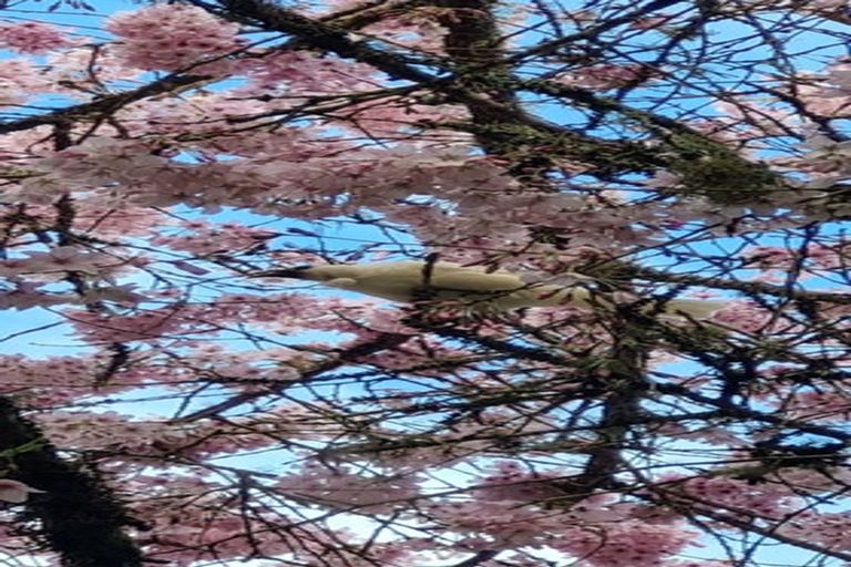 Photo of property in 4003 State Highway 4, Ongarue, 3997