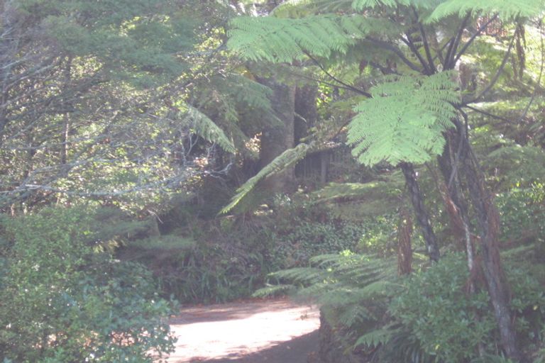 Photo of property in 433 Titirangi Road, Titirangi, Auckland, 0604