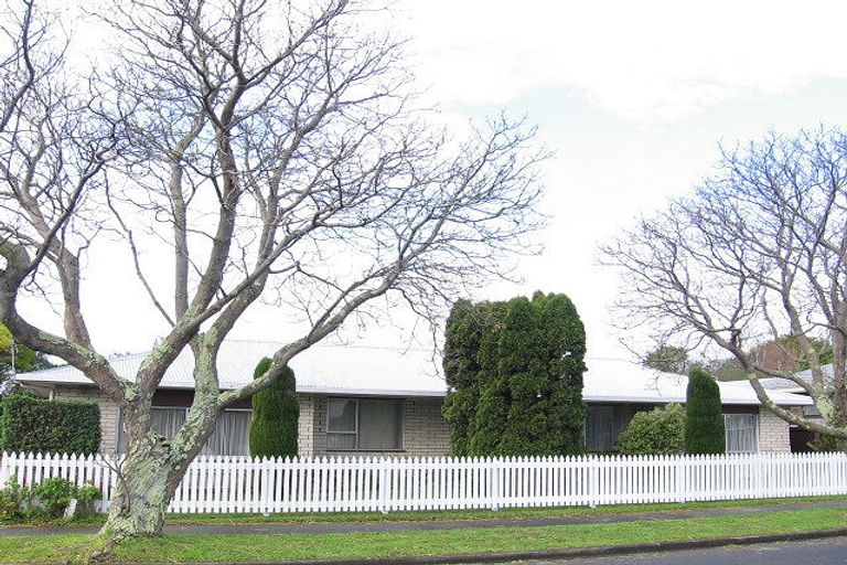 Photo of property in 166 Limbrick Street, Terrace End, Palmerston North, 4410