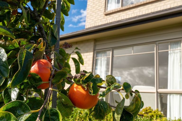 Photo of property in 11 Kouras Place, Flat Bush, Auckland, 2016