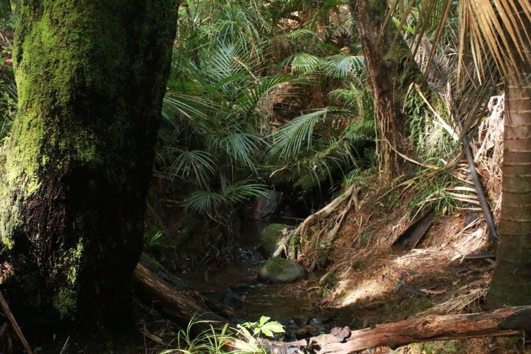 Photo of property in 1064 Pungaere Road, Waipapa, 0295