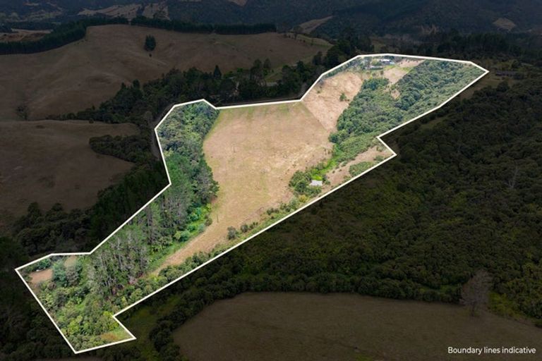 Photo of property in 592 Kanohi Road, Kaukapakapa, 0873