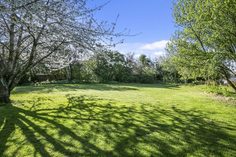 Photo of property in 93 Thomas Street, Waikouaiti, 9510