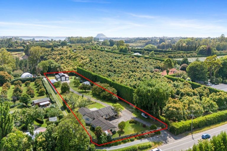 Photo of property in 532a State Highway 2, Minden, Tauranga, 3176