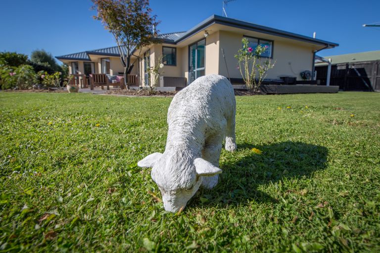 Photo of property in 16 Paget Drive, Woodend, 7610