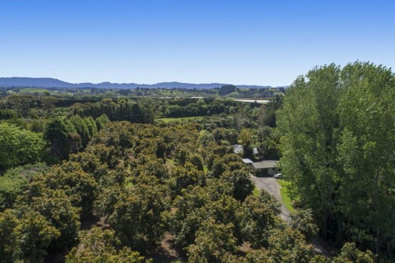 Photo of property in 63a Snodgrass Road, Te Puna, Tauranga, 3174