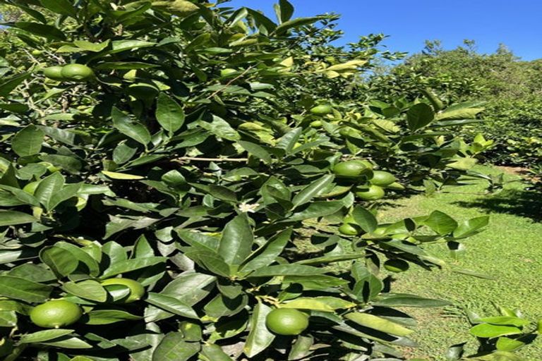 Photo of property in 15 Tarahunga Road, Levin, 5571