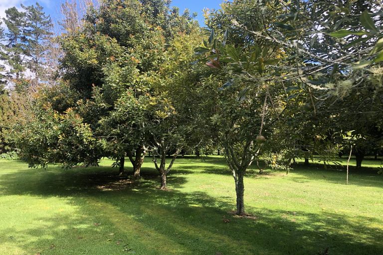 Photo of property in 101 Pungaere Road, Waipapa, Kerikeri, 0295