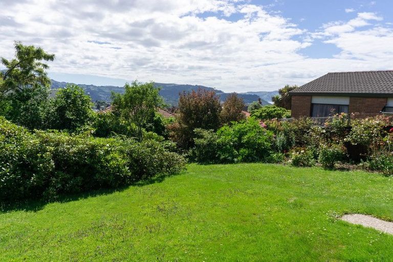 Photo of property in 21 Sheen Street, Roslyn, Dunedin, 9010
