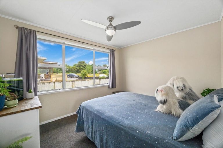 Photo of property in 4 Tarata Place, Manunui, Taumarunui, 3924