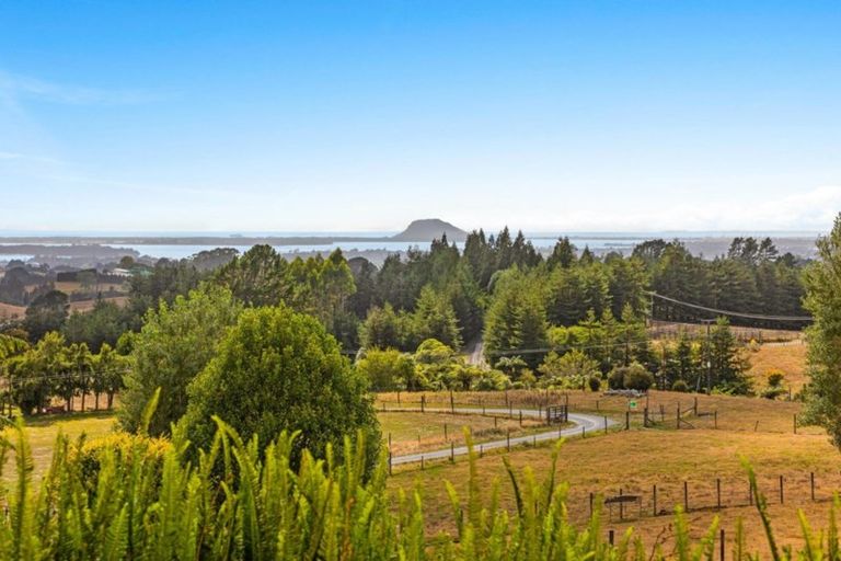 Photo of property in 649a Esdaile Road, Whakamarama, Tauranga, 3180