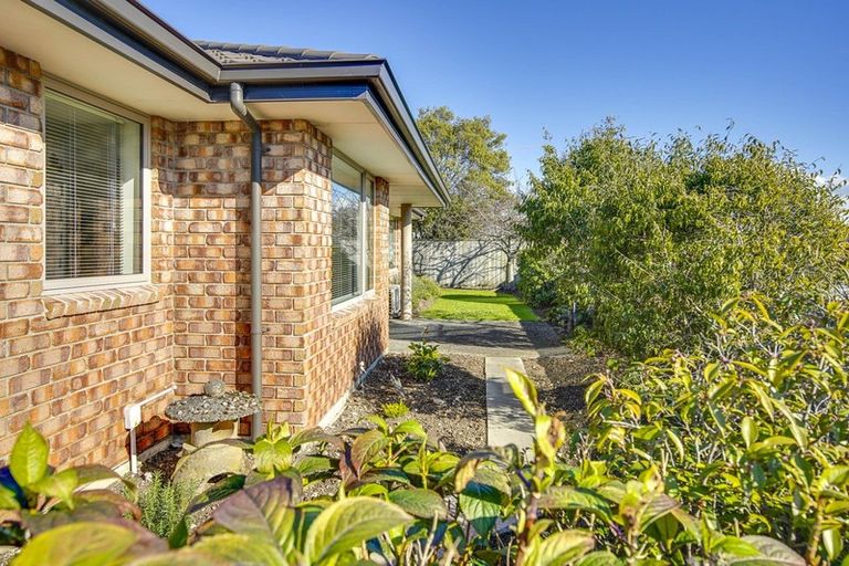 Photo of property in 117 Gladstone Road, Richmond, 7020