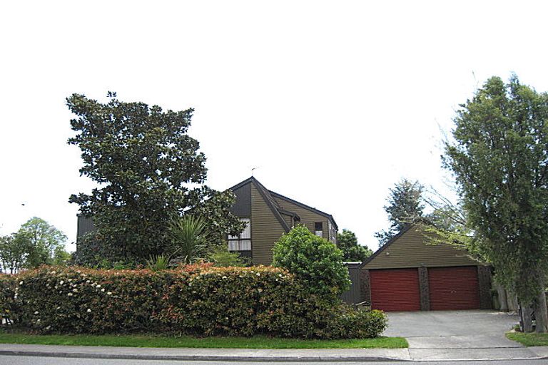 Photo of property in 81 Litchfield Street, Redwoodtown, Blenheim, 7201