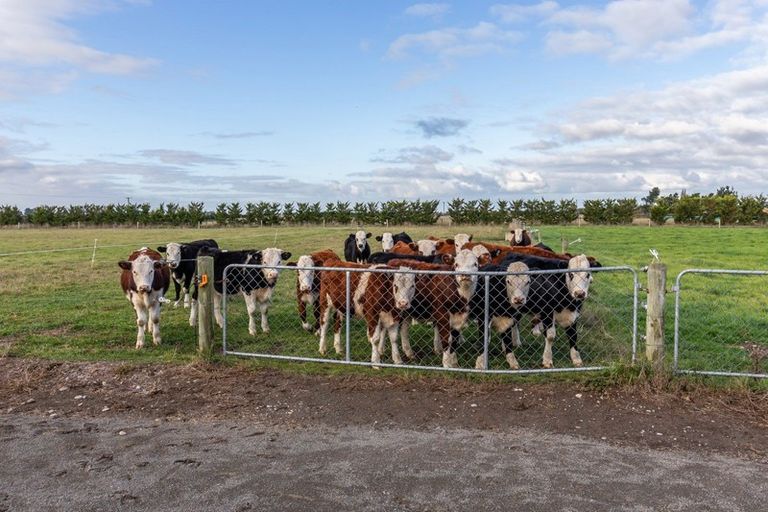 Photo of property in 1353 South Eyre Road, Swannanoa, Rangiora, 7476