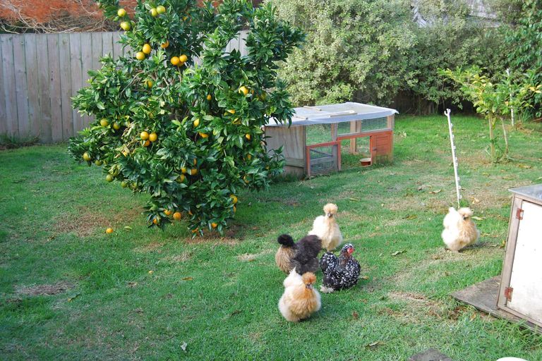 Photo of property in 51 Marshall Road, Kaiwaka, 0573