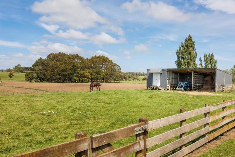 Photo of property in 366 Tutaenui Road, Marton, 4788
