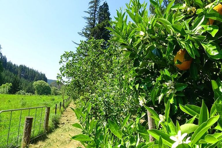 Photo of property in 46 Ruapapa Road, Frasertown, Wairoa, 4195