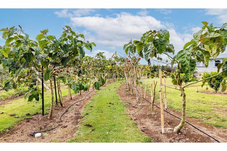 Photo of property in 16 Poplar Lane, Kerikeri, 0293