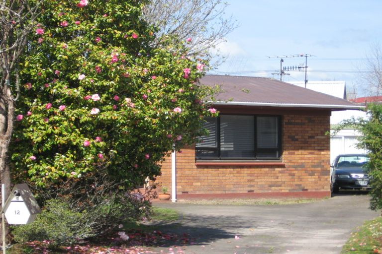 Photo of property in 12 Totaravale Street, Pukehangi, Rotorua, 3015