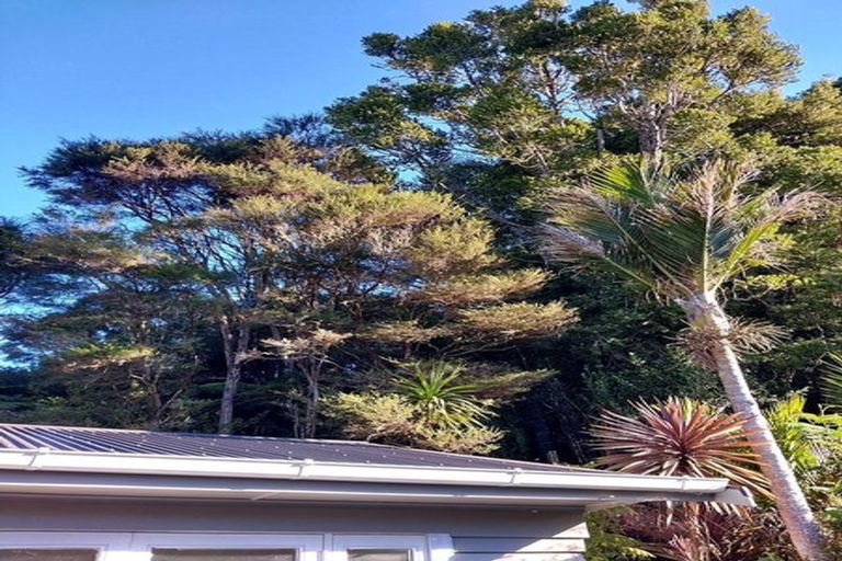 Photo of property in 55 Sylvan Valley Avenue, Titirangi, Auckland, 0604