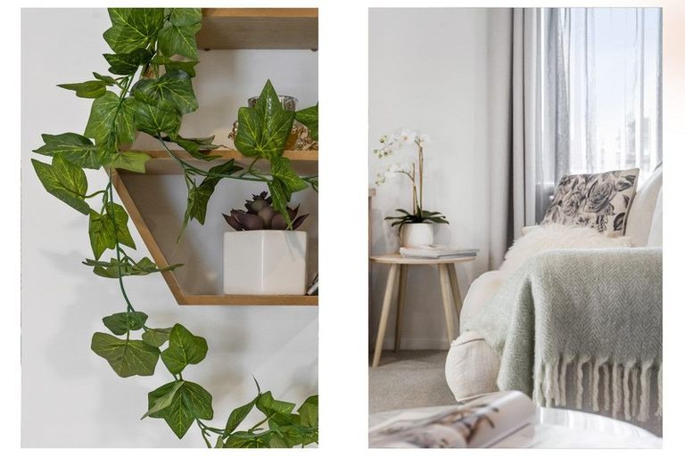 Photo of property in 11 Kamahi Crescent, Papamoa Beach, Papamoa, 3118