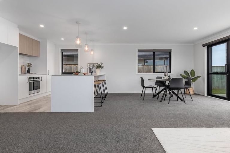 Photo of property in 79 Hinemoa Street, Levin, 5510