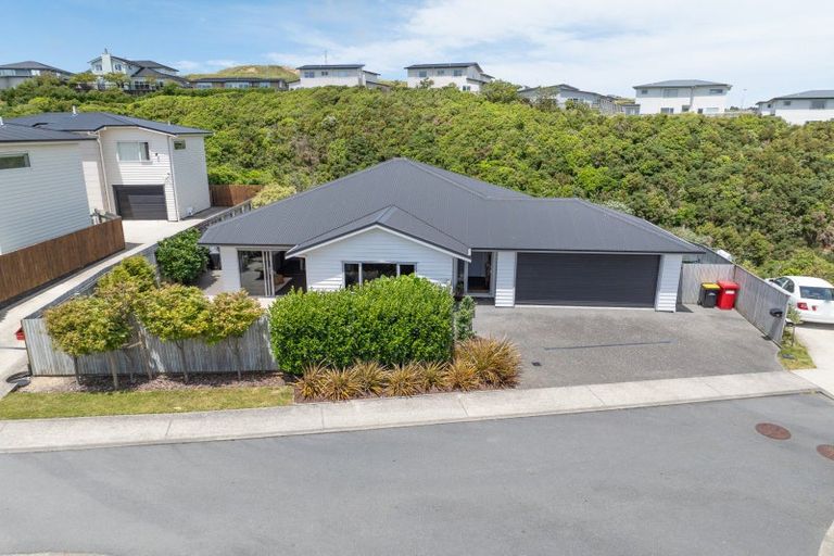 Photo of property in 15 Belize Grove, Grenada Village, Wellington, 6037