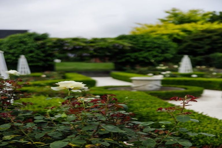 Photo of property in 77 Harrowfield Drive, Harrowfield, Hamilton, 3210