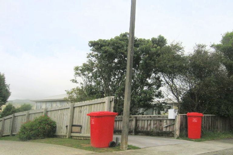 Photo of property in 24 Desert Gold Street, Ascot Park, Porirua, 5024