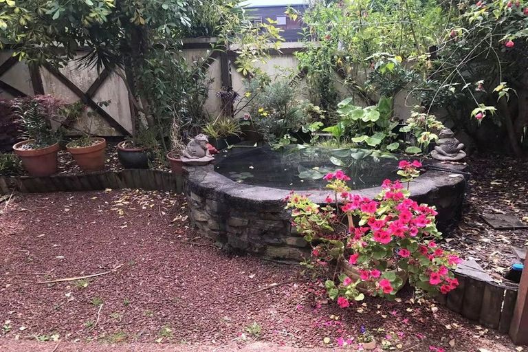 Photo of property in 23 Redwing Street, Browns Bay, Auckland, 0630