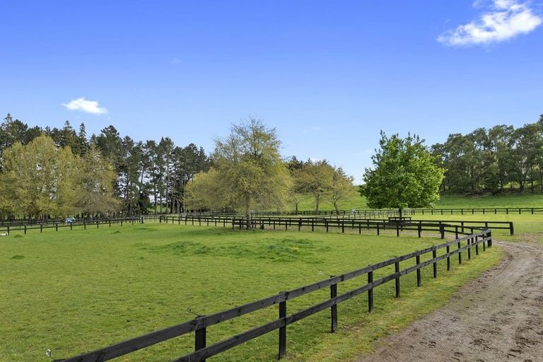 Photo of property in 591c Pencarrow Road, Tamahere, Hamilton, 3283