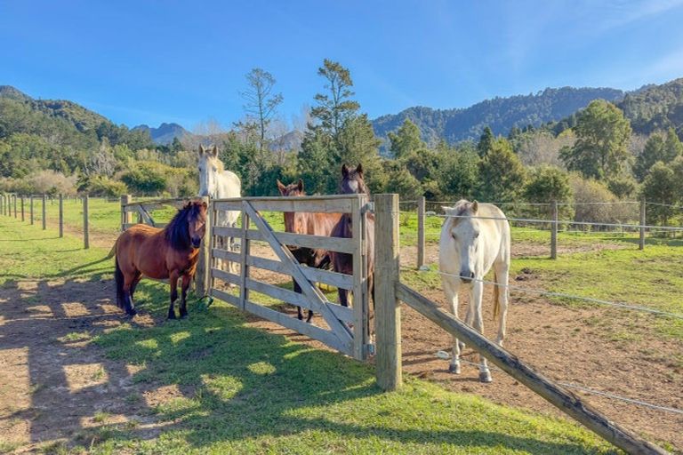 Photo of property in 387 Wentworth Valley Road, Whangamata, 3691