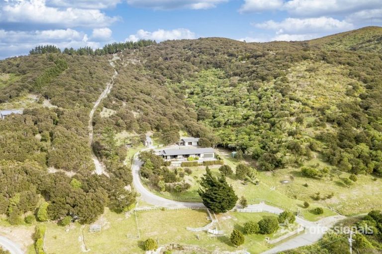 Photo of property in 91 Boar Bush Gully Road, Featherston, 5710