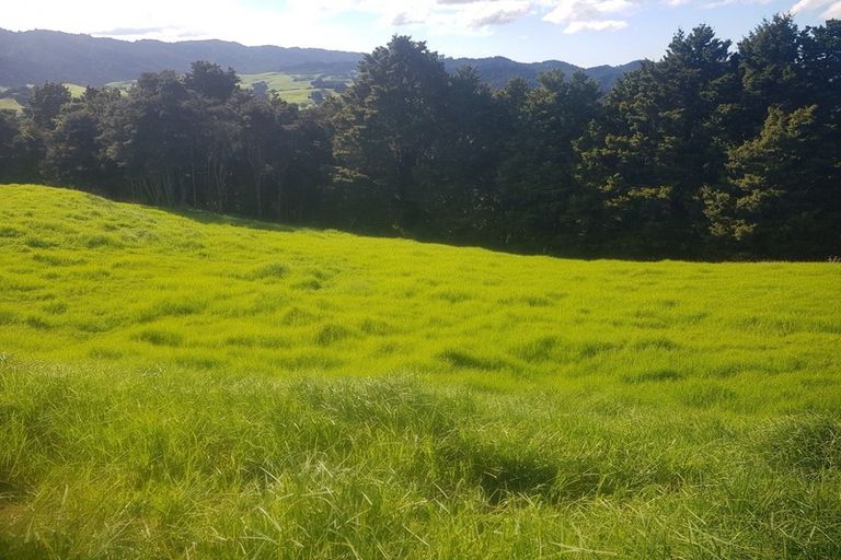 Photo of property in 725 Golden Stairs Road, Mareretu, Maungaturoto, 0589