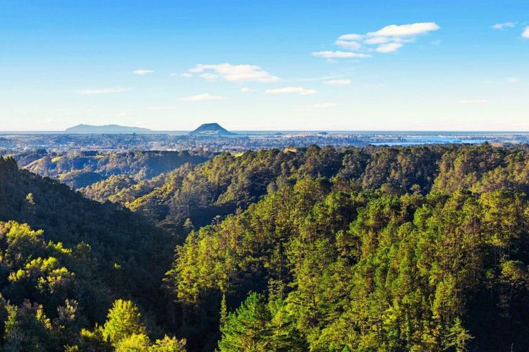 Photo of property in 790 Belk Road, Omanawa, Tauranga, 3171