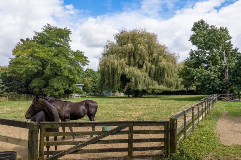 Photo of property in 59 Fuchsia Lane, Tamahere, Hamilton, 3284